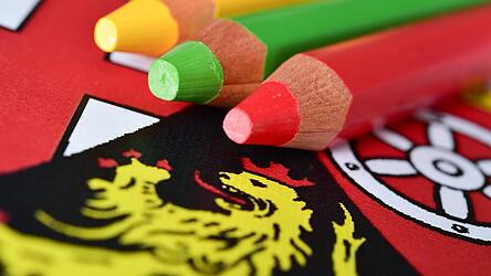 Die Wahl in Rheinland-Pfalz am 22. M&auml;rz wird wohl zu einer neuen Regierung f&uuml;hren.