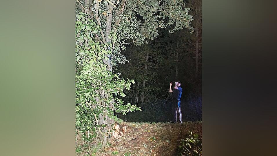 In diesem Bereich prallte das Auto frontal gegen den Baum.