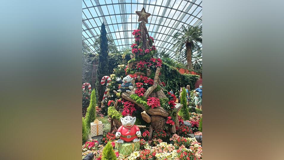 Bilder aus dem vorweihnachtlichen Singapur.