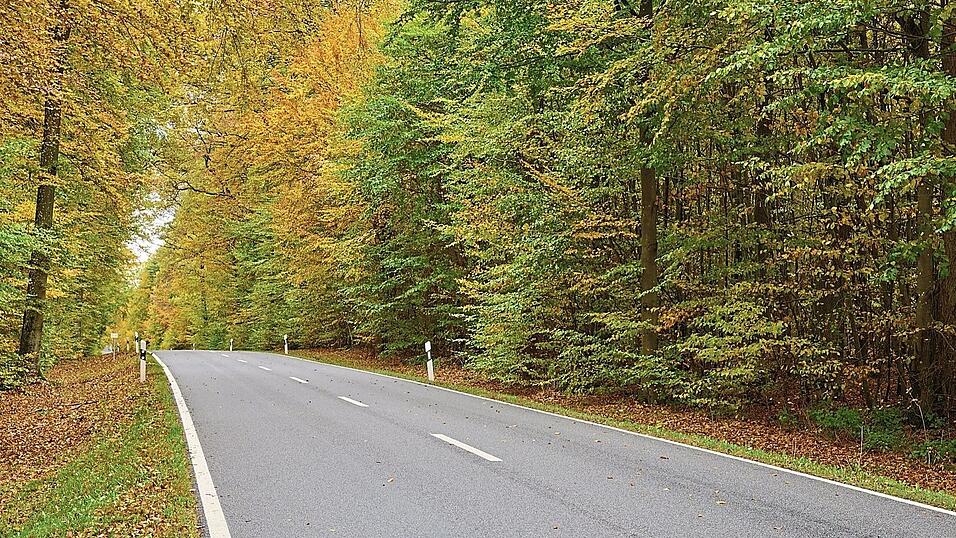 Teils lange Fahrten auf unbekanntem Terrain in den tieferen Bayerischen Wald (Symbolbild) bringt die Eingliederung vor der Saison in die Kreisklasse Regen für den FC Niederwinkling und den SV Schwarzach mit sich. Nach einer gewissen Eingewöhnungszeit haben sich beide Vereine mit der neuen Situation aber arrangiert.