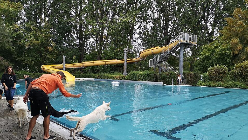 'Und hopp, ins Wasser!' - Die Hunde lieben das feuchtfr&ouml;hliche Erlebnis im W&ouml;hrdbad Regensburg.&nbsp;