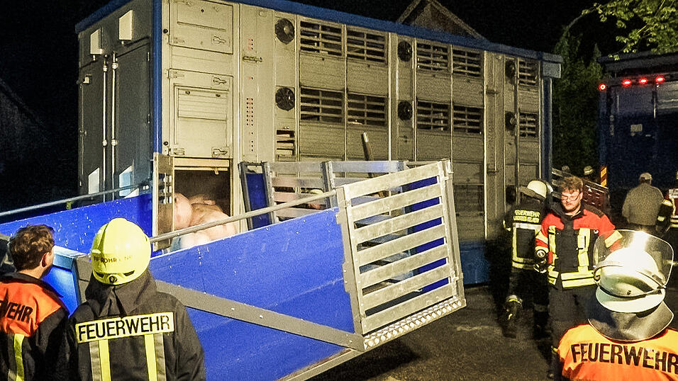 Kniffliger Einsatz f&uuml;r die Feuerwehren aus Rohr/Ndb. und Obereulenbach am sp&auml;ten Donnerstagabend. Ein Schweinetransporter hatte auf dem Weg zum Schlachthof Feuer gefangen. Neun der Tiere kamen durch den Stress und den giftigen Rauch ums Leben.