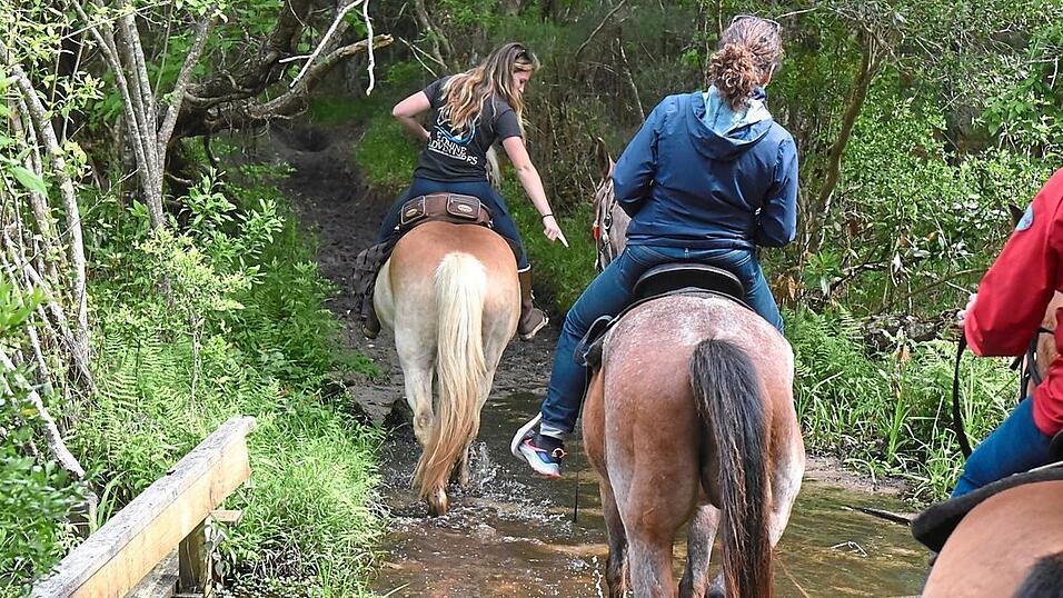 Mit den Pferden auf Reittour Mit den Pferden auf Reittour