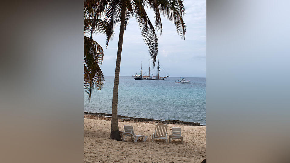 Landaufenthalt in Kuba, Februar 2010. Landaufenthalt in Kuba, Februar 2010.