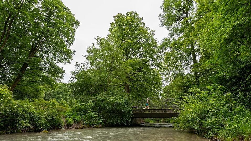 Ein Tunnel könnte den Verkehr aus dem Englischen Garten verbannen und eine neue Tram-Linie ermöglichen - und damit mehr Raum für Natur schaffen (Symbolbild).