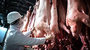 Ob in Landshut weiterhin Schweine geschlachtet werden, soll sich laut der Gewerkschaft NGG bis sp&auml;testens 31. M&auml;rz entscheiden.