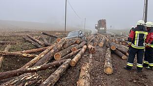 Die Holzst&auml;mme rollten &uuml;ber Fahrbahn und Bankett und trafen unter anderem einen Wagen im Gegenverkehr. (Symbolbild)