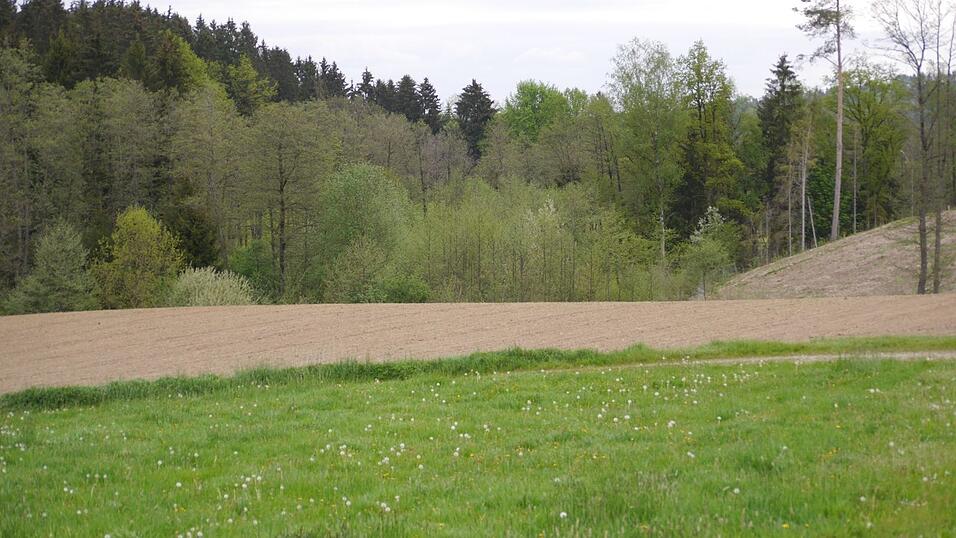 An diesem Waldst&uuml;ck war das Tier scheinbar gesehen worden.