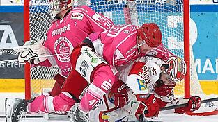 Voller Einsatz: Jakob Mayenschein und seine Landshuter packten gegen die Eispiraten - hier Alexander Vladelchtchikov - kräftig zu. Zumindest zwei Drittel lang. Danach hatte der gute EVL-Keeper Jonas Langmann jedoch noch dreimal das Nachsehen - und schon war die Heimpleite perfekt.