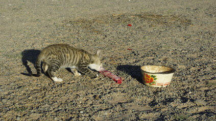 Imke Hansen und Andreas Goldbrunner reisen um die Welt. Auf in die Wüste Gobi Imke Hansen und Andreas Goldbrunner reisen um die Welt. Auf in die Wüste Gobi