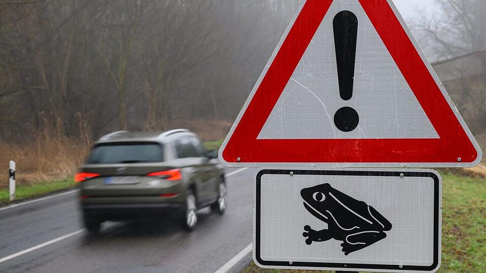 Der Luftdruck schnell vorbeifahrender Autos kann Amphibien ebenfalls t&ouml;ten. (Symbolbild)