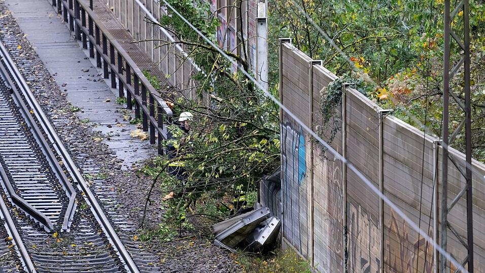 Der Baum hatte eine Lärmschutzwand durchbrochen und war auf den fahrenden Zug gefallen.