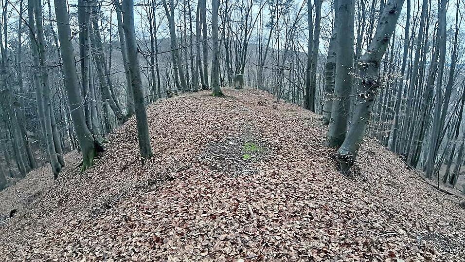 Ein Blick auf das Plateau des neuentdeckten Burgstalls in der Nähe von Schönbrunn.