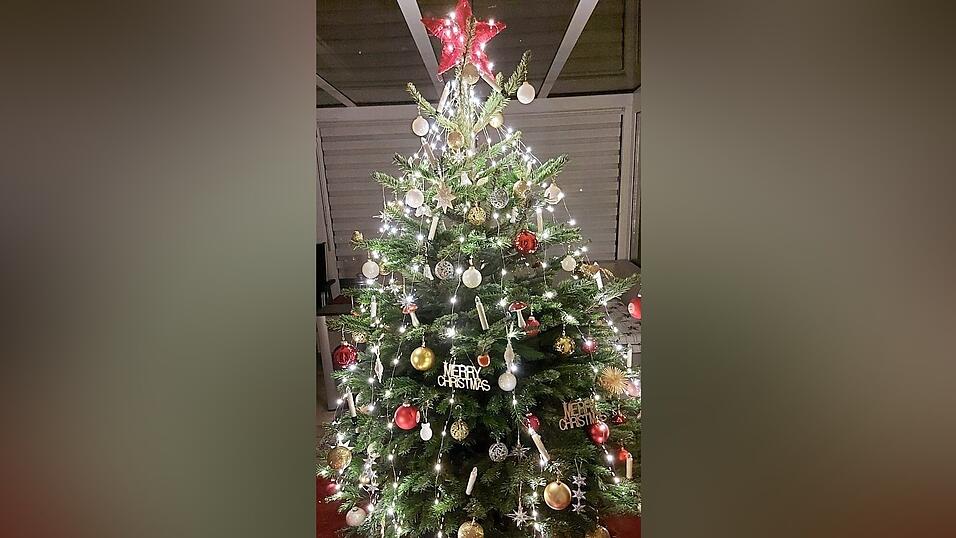 So sieht der Christbaum von Tobias Daffner aus.