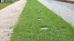 Der Rasen ist angelegt, die Gehwegplatten markieren Plätze für Urnen-Erdgräber.
