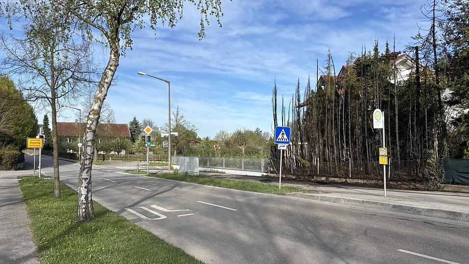 Diese Hecke an der Karl-Bickleder-Stra&szlig;e ist am Dienstagabend abgebrannt. Die Polizei ermittelt wegen Brandlegung und bittet um Zeugenhinweise.
