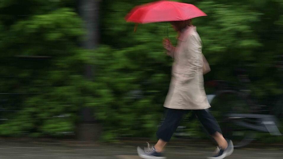 Der Regenschirm wird zum Wochenstart für die Menschen in Bayern unverzichtbar. (Archivbild) Der Regenschirm wird zum Wochenstart für die Menschen in Bayern unverzichtbar. (Archivbild)