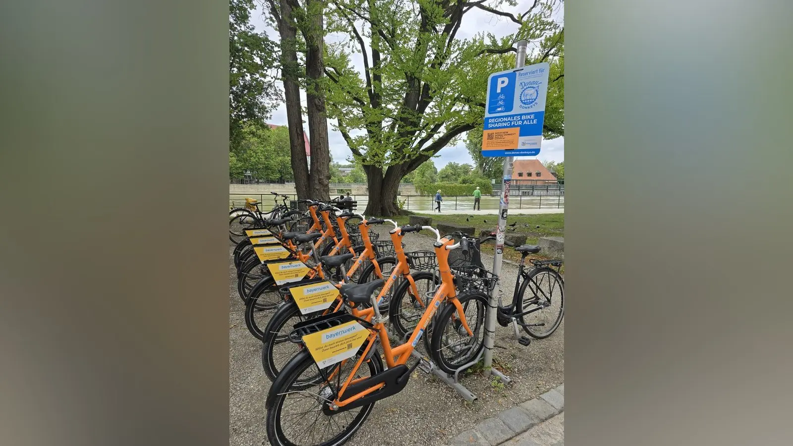 12 zoll kinderfahrrad test 12 Zoll Kinderfahrrad S'COOL XXlite kaufen