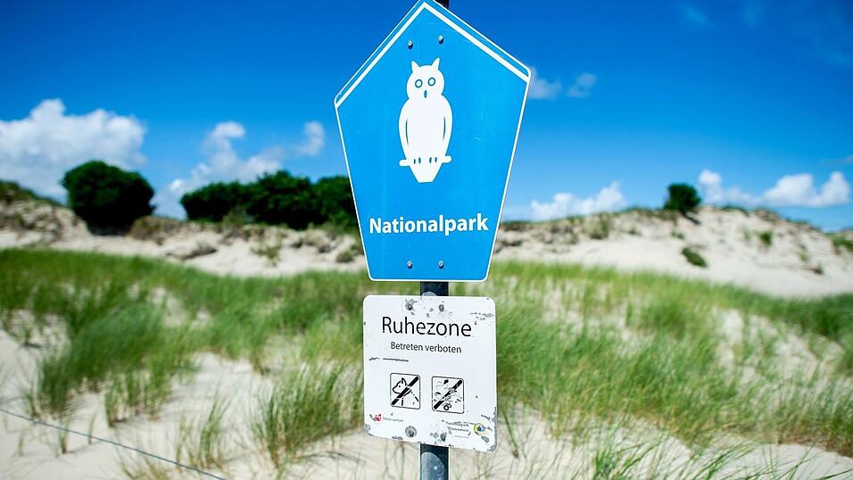 In der Ruhezone des Nationalparks Niedersächsisches Wattenmeer gelten die strengsten Schutzbestimmungen. (Archivbild) In der Ruhezone des Nationalparks Niedersächsisches Wattenmeer gelten die strengsten Schutzbestimmungen. (Archivbild)