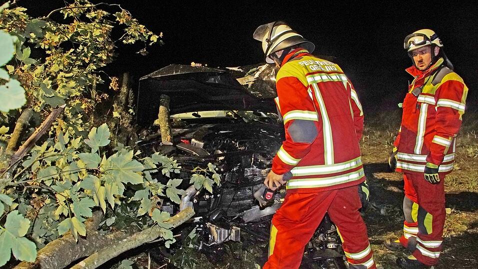 &Auml;ste waren wegzuschneiden, um die Motorhaube &ouml;ffnen zu k&ouml;nnen.