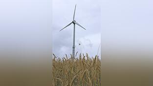 Nach dem Aus f&uuml;r die Regionalwerke halten die Gemeinden Schorndorf und Michelsneukirchen weiterhin am Windpark mit drei Anlagen fest. Die Kalsinger Dorfgemeinschaft zeigt sich dar&uuml;ber best&uuml;rzt wie ver&auml;rgert und fordert, dass sich die Michelsneukirchener B&uuml;rger intensiver mit dem Thema auseinandersetzen.