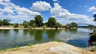 Der Pegelstand der Donau in Straubing ist momentan niedriger als normal. Ein weiteres Zeichen für die Dürre ist das verbrannte Gras am Ufer. Der Pegelstand der Donau in Straubing ist momentan niedriger als normal. Ein weiteres Zeichen für die Dürre ist das verbrannte Gras am Ufer.