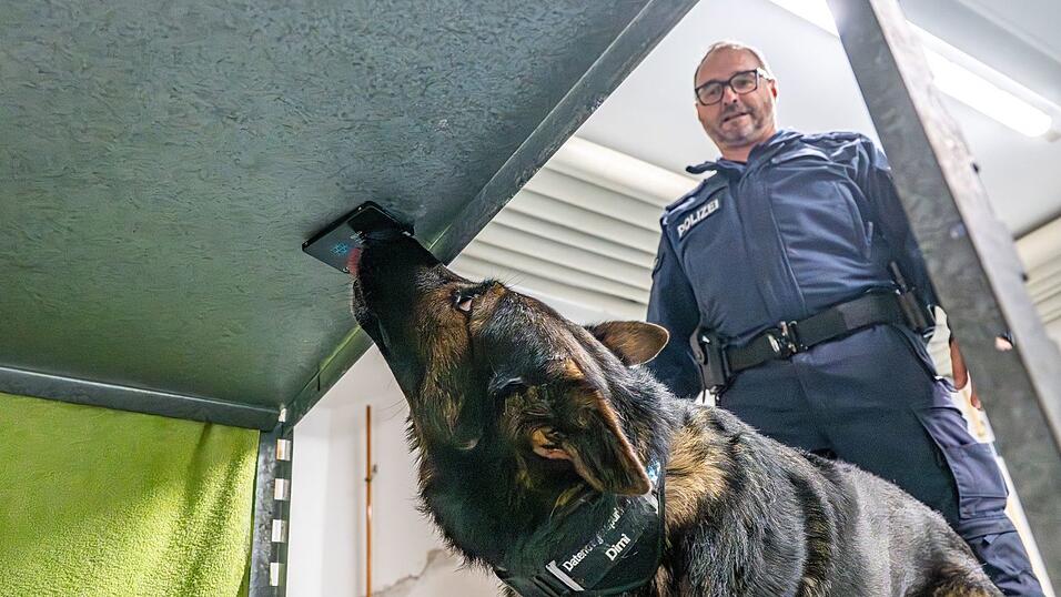 Polizeihund Dimi ist auf Datenträger spezialisiert. Hier findet er eine Festplatte. Dimi ist im Team unterwegs mit seinem Polizeihundeführer Ralf Strasser-Moraras. Polizeihund Dimi ist auf Datenträger spezialisiert. Hier findet er eine Festplatte. Dimi ist im Team unterwegs mit seinem Polizeihundeführer Ralf Strasser-Moraras.