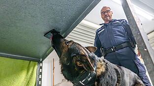 Polizeihund Dimi ist auf Datenträger spezialisiert. Hier findet er eine Festplatte. Dimi ist im Team unterwegs mit seinem Polizeihundeführer Ralf Strasser-Moraras.