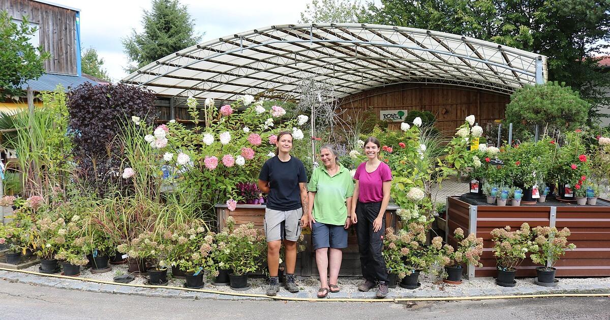 Pohl Gartenmarkt Und Baumschule