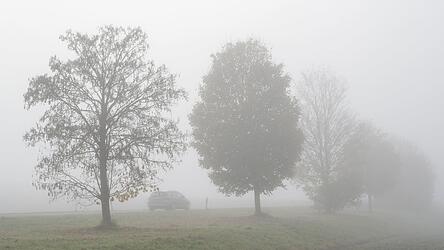 Die nächsten Tage bleibt es nebelig-trüb im Freistaat. (Symbolbild)