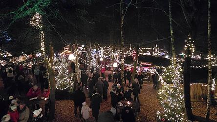 Eine besondere Kulisse bot der Tannenwald.