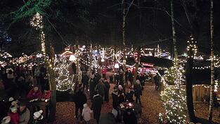 Eine besondere Kulisse bot der Tannenwald. Eine besondere Kulisse bot der Tannenwald.