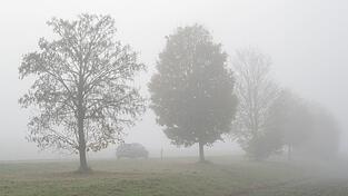 Das Wetter wird zwar zum Wochenende milder, aber es bleibt vielerorts glatt. (Symbolbild)
