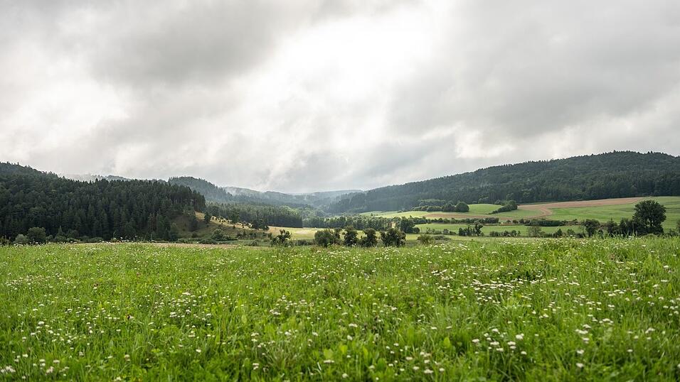 Zur Wochenmitte hat das verregnete Wetter voraussichtlich ein Ende.