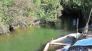 Eine der Ölsperren auf dem Mühlbach.