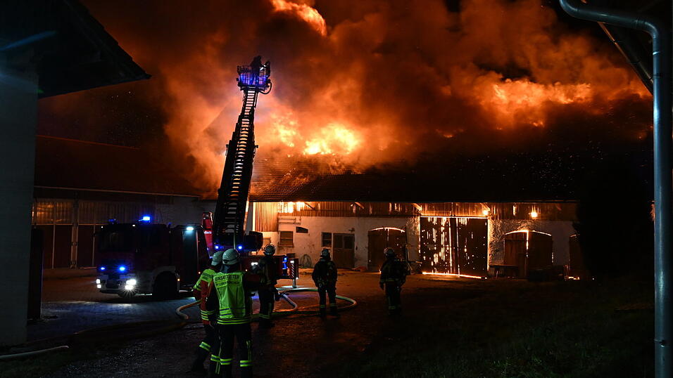 Das Feuer zerstörte den Schweinestall komplett.