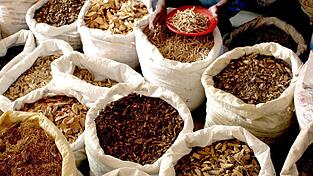 Eine Kur in der Ayurveda-Hochburg Sri Lanka ist für mehrere Deutsche zu einem lebensgefährlichem Trip geworden.