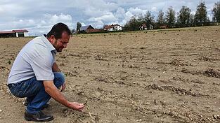 Dieses Maisfeld nahe Ruhstorf an der Rott wurde vom Hagel komplett zerstört. Josef Hopper, stellvertretender Passauer Kreisobmann, zeigt, dass es kaum noch Überreste gibt.