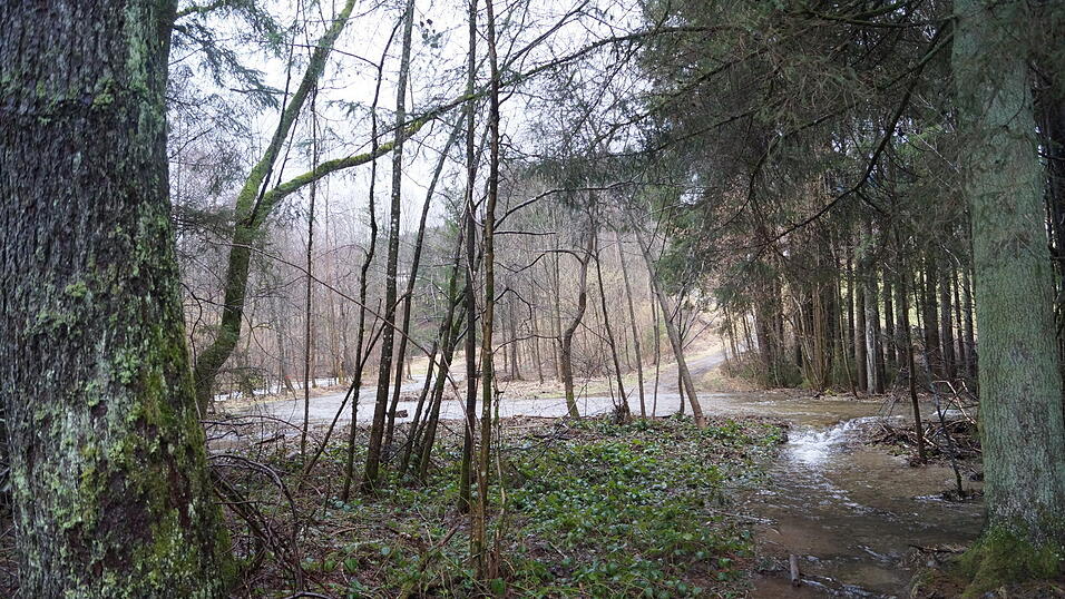 Bei Hochwasser war der öffentliche Weg aus Richtung Schwarzenbach, der über den Steg zur Bushaltestelle führt, nicht mehr passierbar. Bei Hochwasser war der öffentliche Weg aus Richtung Schwarzenbach, der über den Steg zur Bushaltestelle führt, nicht mehr passierbar.