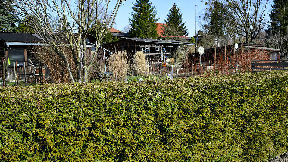 Die Hecke konnte der Mann zum Gro&szlig;teil selbst wieder l&ouml;schen. (Symbolbild)