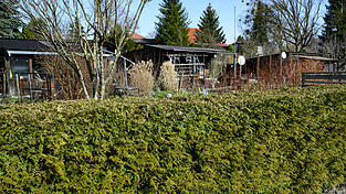 Die Hecke konnte der Mann zum Gro&szlig;teil selbst wieder l&ouml;schen. (Symbolbild)