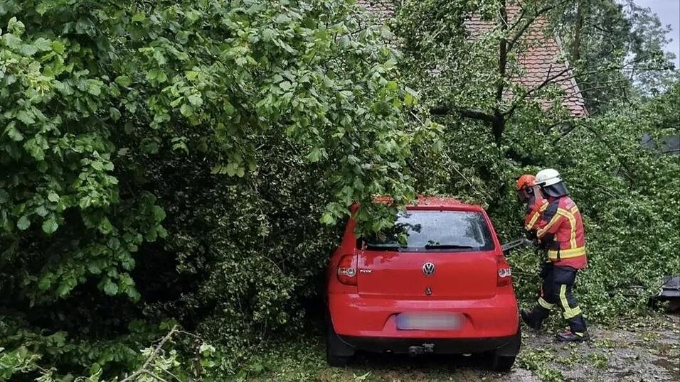 Ein Baum fiel auf ein Auto in der Gemeinde Essenbach. Ein Baum fiel auf ein Auto in der Gemeinde Essenbach.