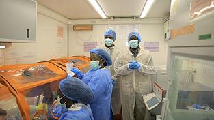 Das Bundibugyo-Virus grassiert seit Monaten in der Demokratischen Republik Kongo. (Archivbild) Das Bundibugyo-Virus grassiert seit Monaten in der Demokratischen Republik Kongo. (Archivbild)