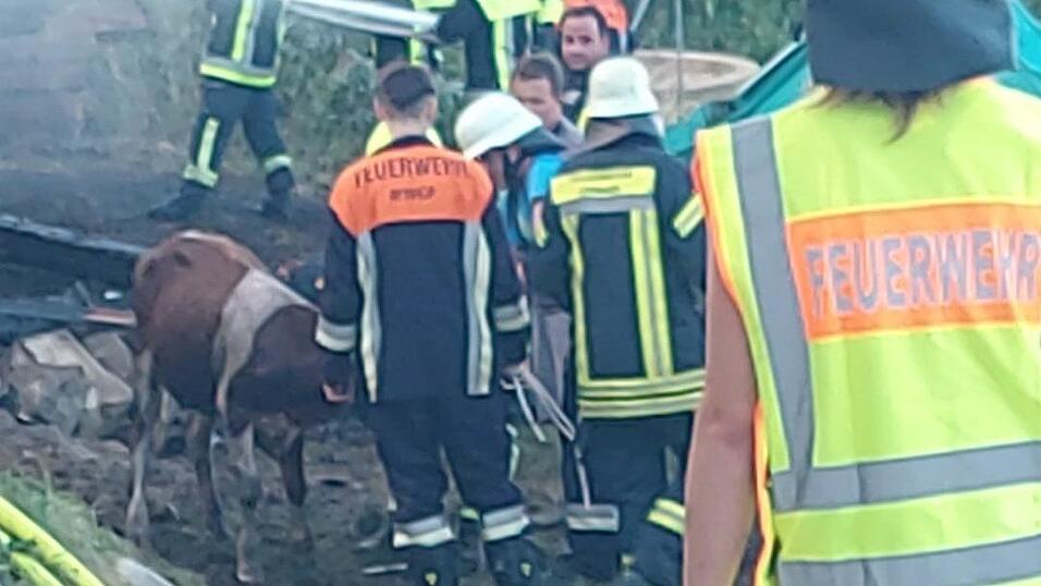 Die Feuerwehr versucht noch Tiere aus dem Stall zu retten.
