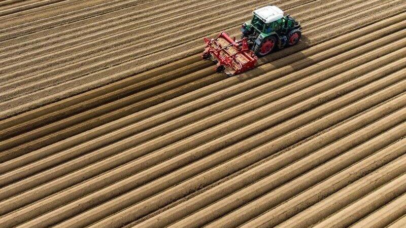 Bislang unbekannte Täter haben in Wiesent ein hochwertiges, autonomes Lenksystem für einen Traktor gestohlen. (Symbolbild) Bislang unbekannte Täter haben in Wiesent ein hochwertiges, autonomes Lenksystem für einen Traktor gestohlen. (Symbolbild)