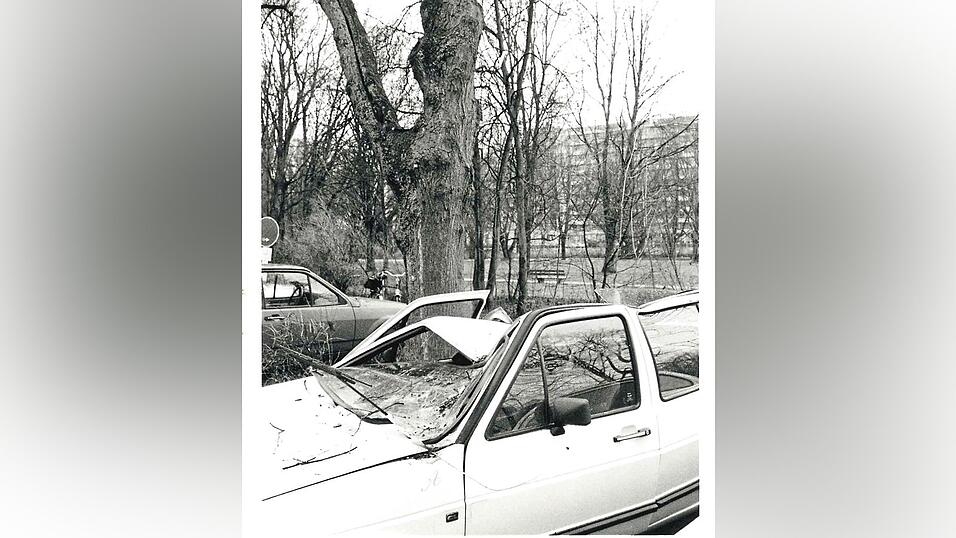 Auch auf drei Autos in der Dammstraße stürzten Bäume und beschädigten sie schwer.
