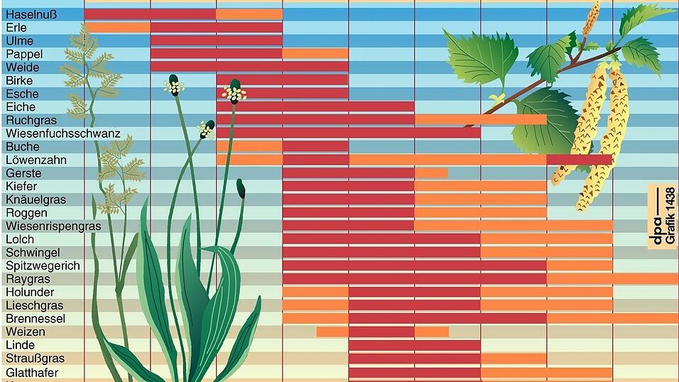 Wann was fliegt, kann man im Pollenflugkalender ablesen. Wann was fliegt, kann man im Pollenflugkalender ablesen.