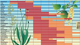 Wann was fliegt, kann man im Pollenflugkalender ablesen. Wann was fliegt, kann man im Pollenflugkalender ablesen.