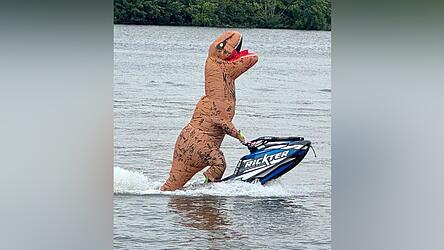 Was macht ein Dino auf der Donau?
