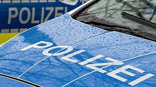 Die Polizei sucht nun die flüchtigen Diebe und bittet Zeugen um Hinweise.